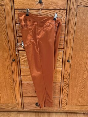 Slimsation By Multiples Rust Straight Leg Pants